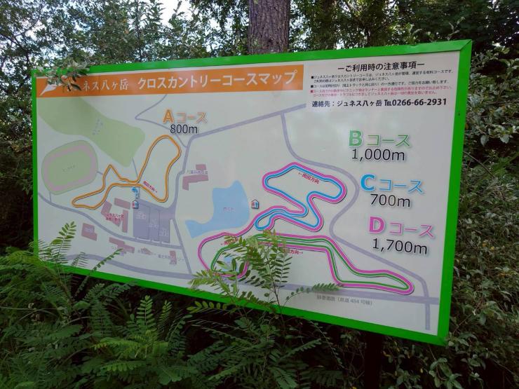 RUNNET連携画像2