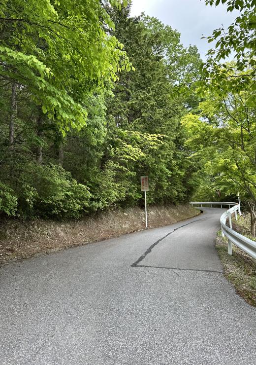 舗装された坂道を登ります