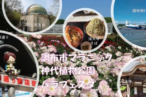 【調布市マラニック・水木しげるゆかりの地・神代植物公園バラフェスタ】