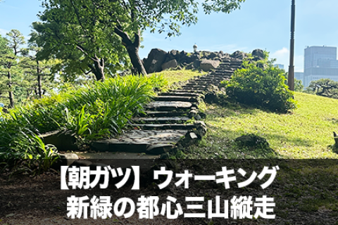 【朝ガツ】都心三山縦走ウォーキング｜新緑の10キロ朝旅