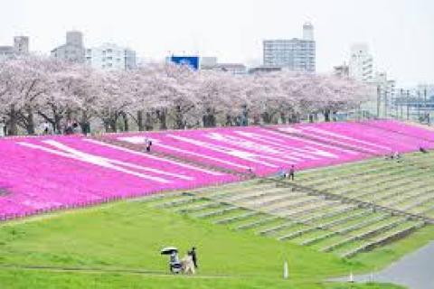 第99回・赤羽トライアル（5km/10km/15km/HALF/30km/フルの部）