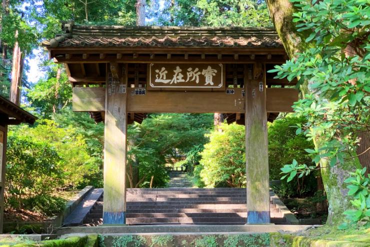 鎌倉・秘密の紫陽花トレイル