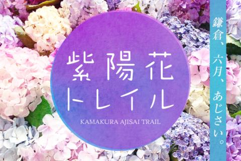 鎌倉・秘密の紫陽花トレイル