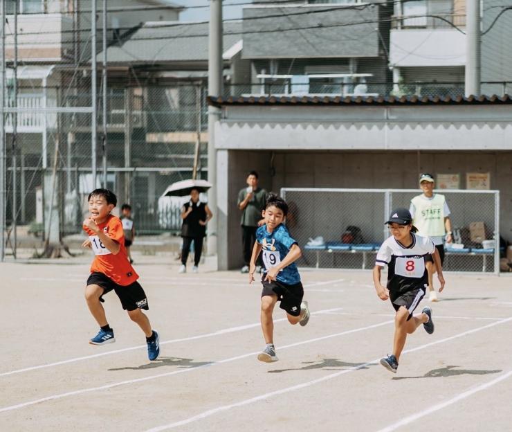摂津市陸上競技連盟はさまざまなランニングイベントを開催・サポートをしています。※写真は「かけっこチャンピオン決定戦（2025年）」
