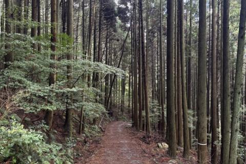耳納連山練習会(久留米)