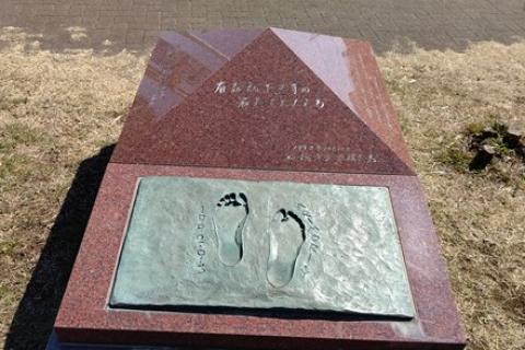 みわっちと千葉で街ラン！7月「船橋で夏詣で と 緑道ラン」13キロ（キロ7分ペース）