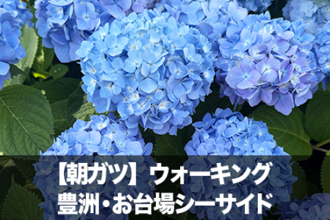 【朝ガツ】豊洲・お台場シーサイドウォーキング｜紫陽花と海辺の10キロ朝旅