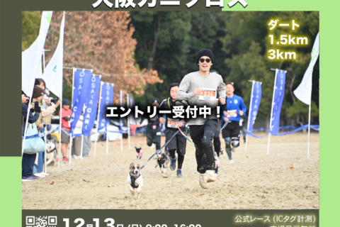 ドッグマラソン2026 大阪カニクロス
