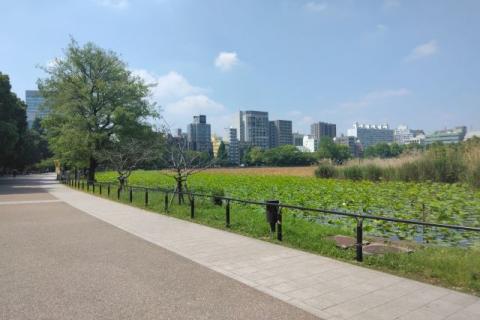 Sunday Community Run(上野グラベルラン)