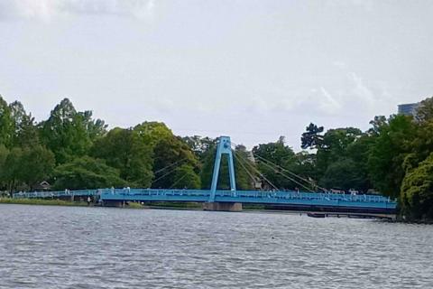 みさと公園から水元公園へ　６／８ｋｍ　団体歩行