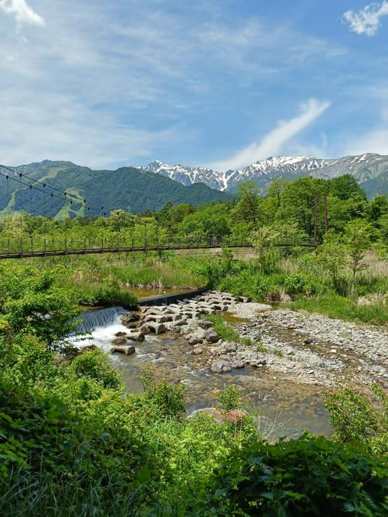 姫川と吊り橋