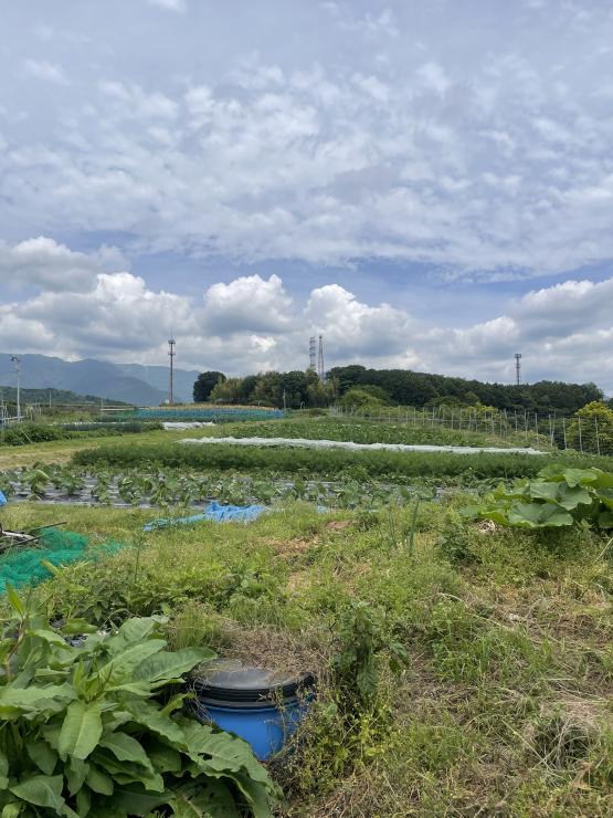 RUNNET連携画像1