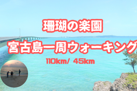 珊瑚の楽園　宮古島一周ウォーキング (110km)