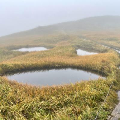 ランナー向け  百名山巻機山登山　笑う池塘