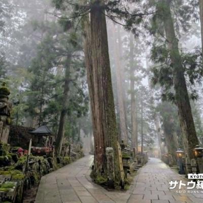 【秋のウルトラマラソン対策】高野山オーバーナイトラン 82㌔ 59㌔ 43㌔【サトウ練習会】