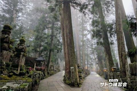 1200年続く天空の聖地。高野山オーバーナイトラン 82㌔ 59㌔ 43㌔【サトウ練習会】