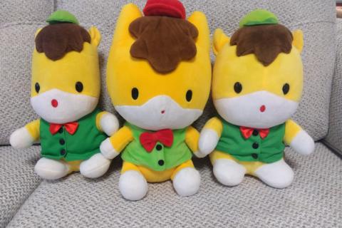 さいとたくや