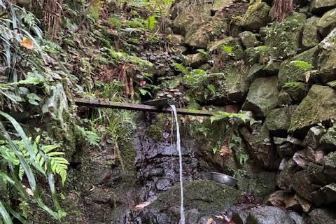 天拝山域練習会 中級者以上向け(福岡)