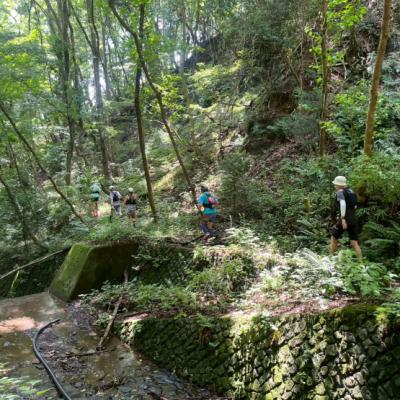 第151回FunTrailsらんランRUN:伊豆ヶ岳・旧正丸峠トレイルラン