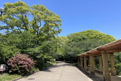 8/16・走力を高めるための練習会 vol.6【明石公園】