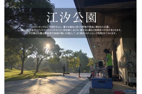 山口自主ラン【vol.73】2026.8/2（日）Chapter 2/5_江汐公園で3時間走