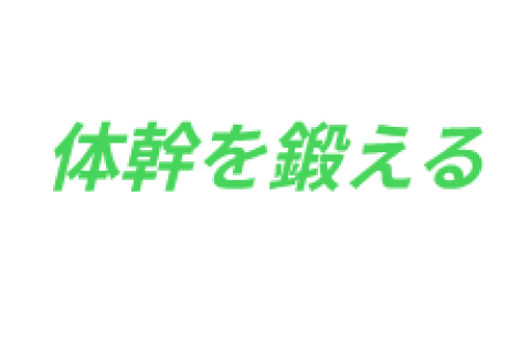 自宅でできるランナー向け継続可能な体幹筋トレの講習会
