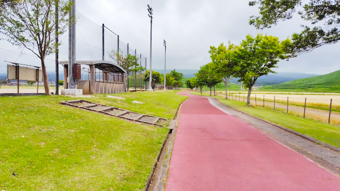 Run for Sweets in 阿蘇内牧