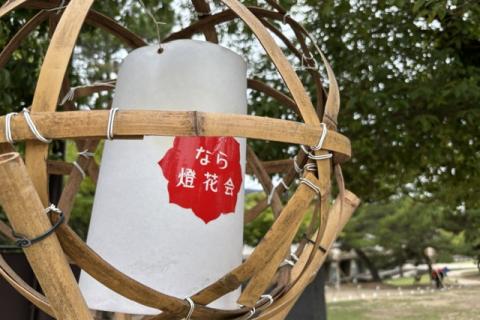 8/9(日)【夏の風物詩！なら燈花会ツアー】