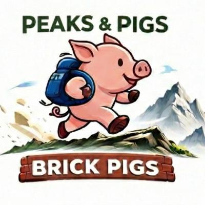 【peaks&pigs】第1回「レンガのおうち」〜上級者向け〜