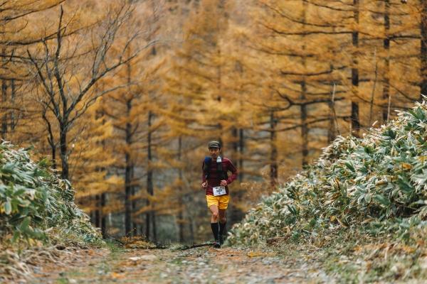 全国でもなかなかお目にかかれない、秋のご褒美のような風景です