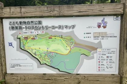 【彩のランニング特別練習会】8月23日（日）＠東松山クロスカントリー16km*