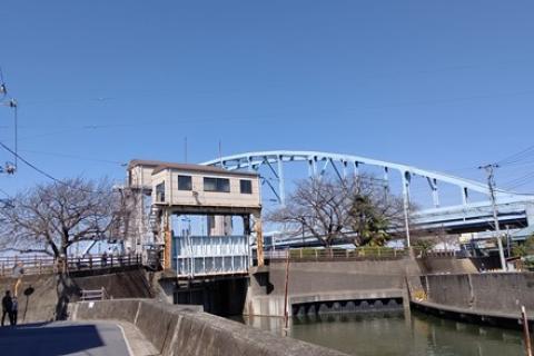 みわっちと千葉で街ラン！9月「浦安・舞浜ベイシティラン」14キロ(キロ7ペース)