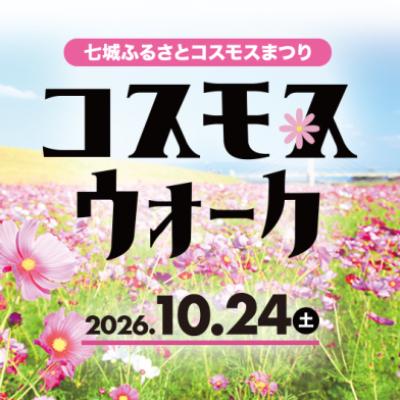 【七城ふるさとコスモスまつり】コスモスウォーク2026