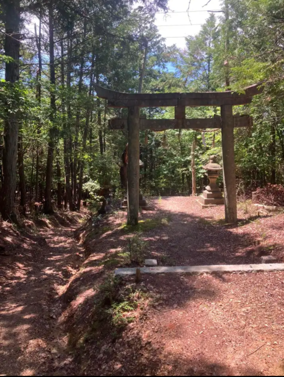 牛松山登り途中