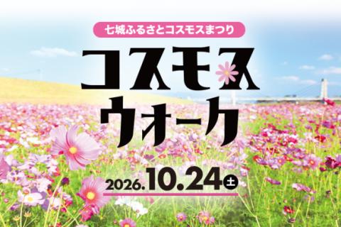 【七城ふるさとコスモスまつり】コスモスウォーク2026