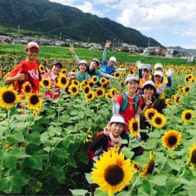 【秋なのにひまわり畑!?】京都・西山古道トレイルラン15km