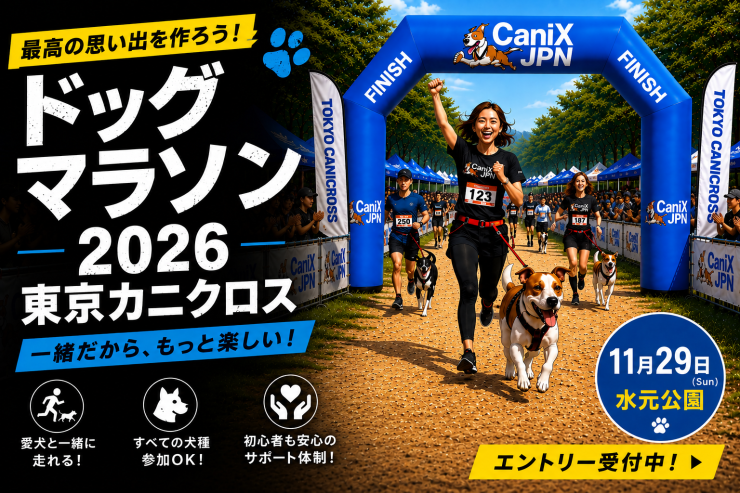 RUNNET連携画像1