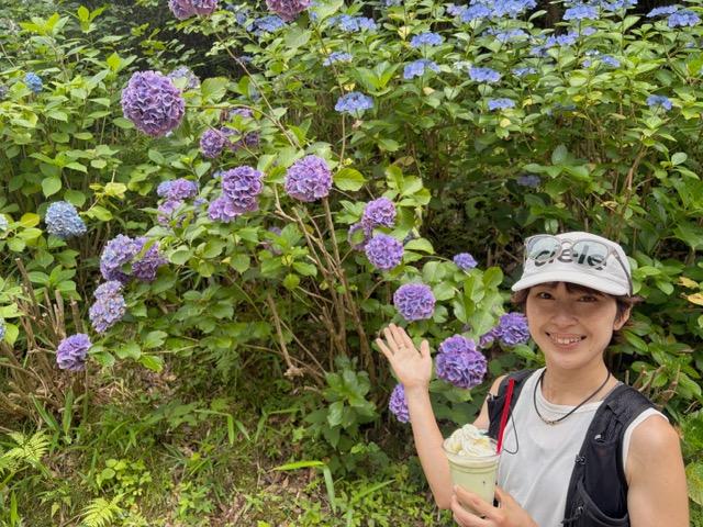 7月は紫陽花ツアー