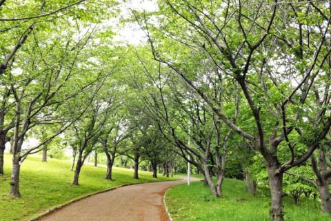 50代からの「走って、学んで、整える！」（260829)