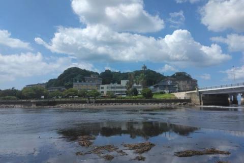 Holiday Community Walk(江ノ島トンボロ+藤沢ウォーク+冷え梨＆温泉)