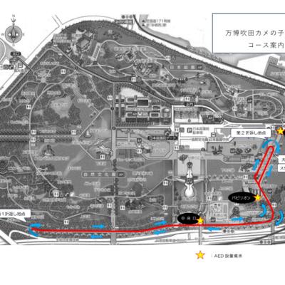 万博吹田カメの子駅伝大会（3ｋｍ）
