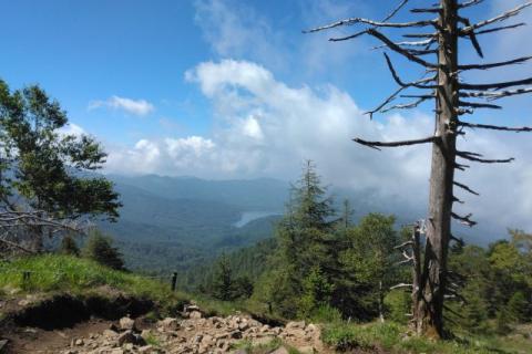 Sunday Community Trek(大菩薩嶺トレッキング)