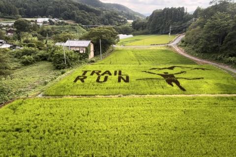 【レース直前企画】上州武尊山スカイビュートレイル　ラスト20km 試走会