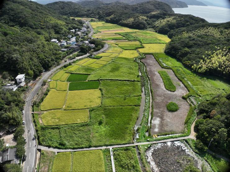 上空からの島田島