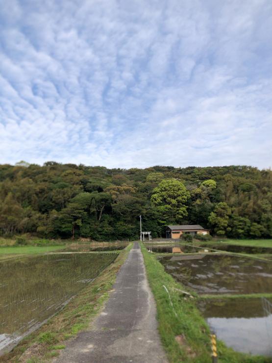 田園風景