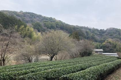 ゆる山あるき＠飯山観音～七沢森林公園