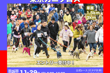 ドッグマラソン2026 東京カニクロス