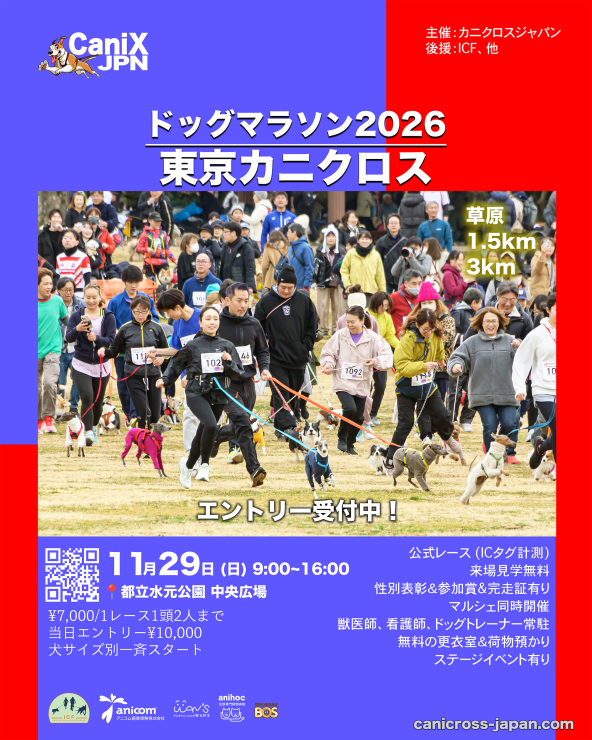 RUNNET連携画像1