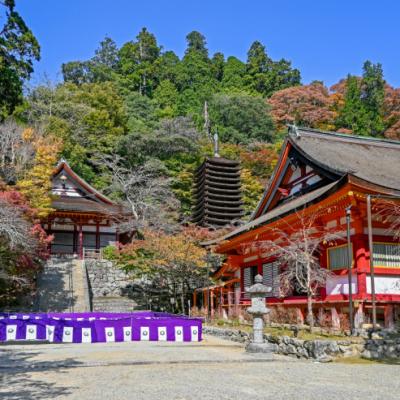 第2回大和七福神八宝開運ウォーキング