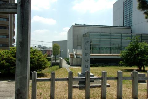 Ｃリーグ「江戸川を歩く２０２６」 ９／１７／３１ｋｍ 自由歩行